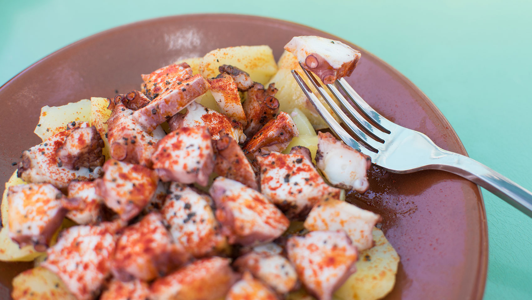 octopus-gallega-with-confit-potato-olive-oil-red-paprika-and-black-salt-photo-credit-adorned-photography
