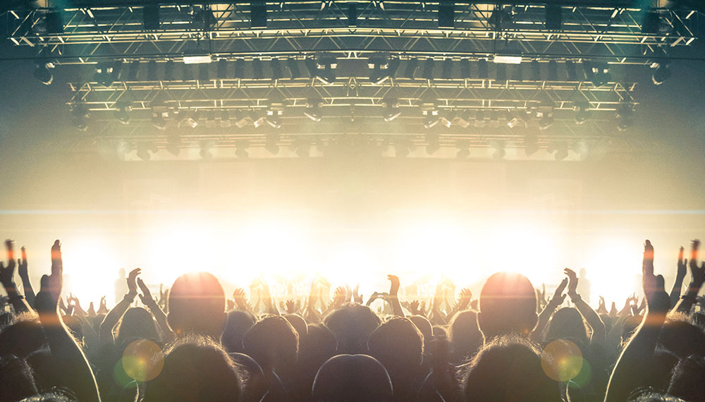 group of people at a concert
