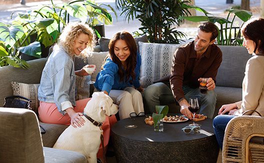 group of people sitting at a table with a dog